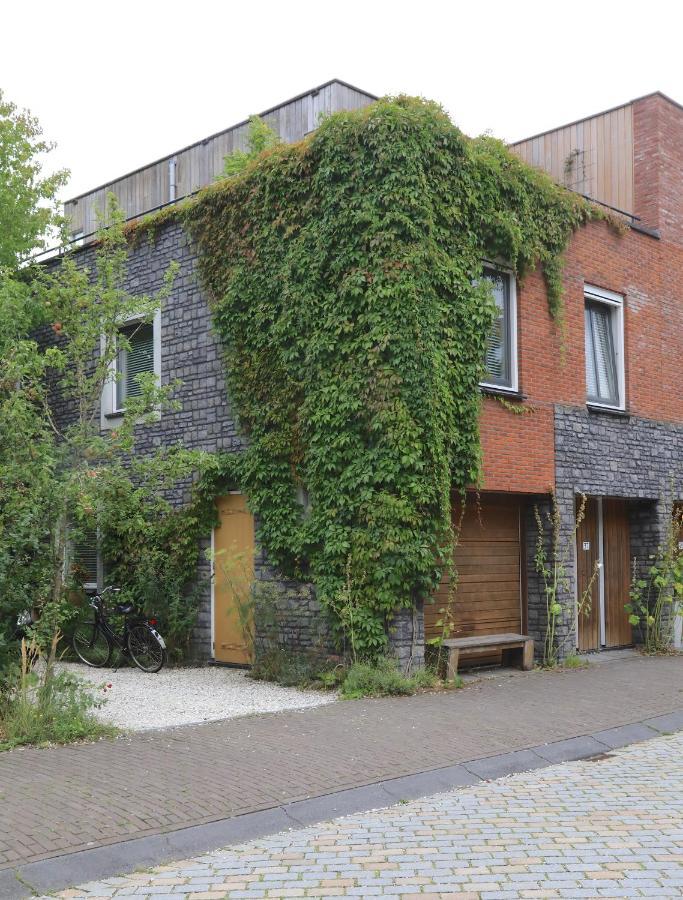 אמסטרדם B&B De Zwanebloem מראה חיצוני תמונה